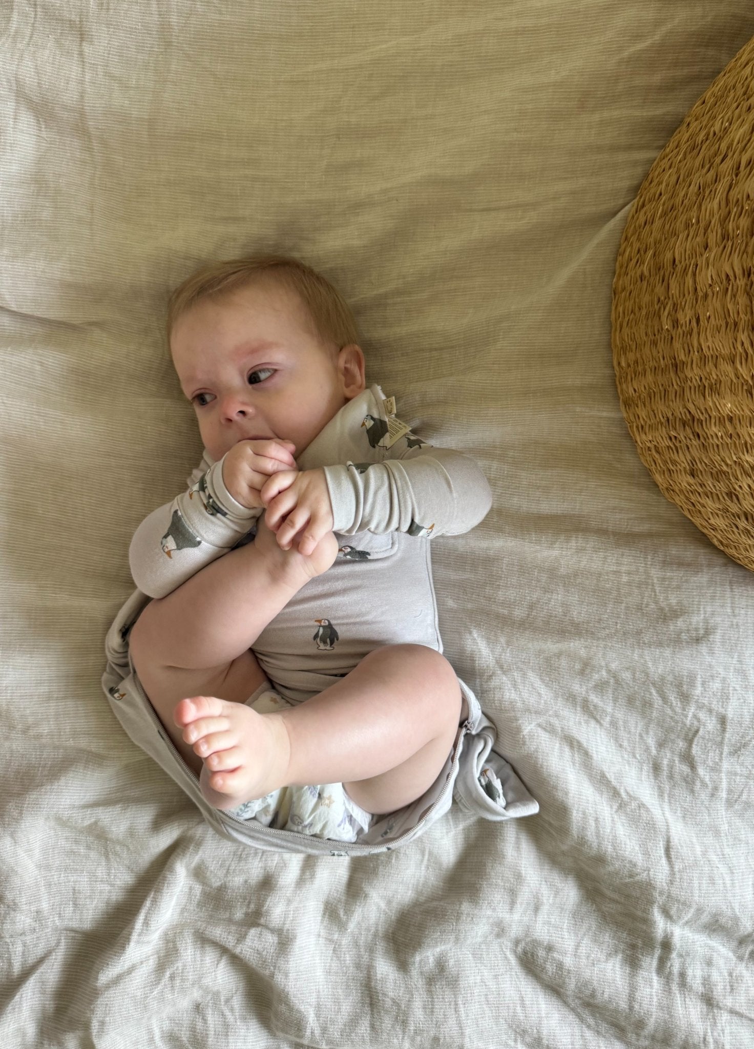 günamüna Convertible Footie Penguins (Min. of 2, multiples of 2) - MAIGHAN DISTRIBUTION CANADA