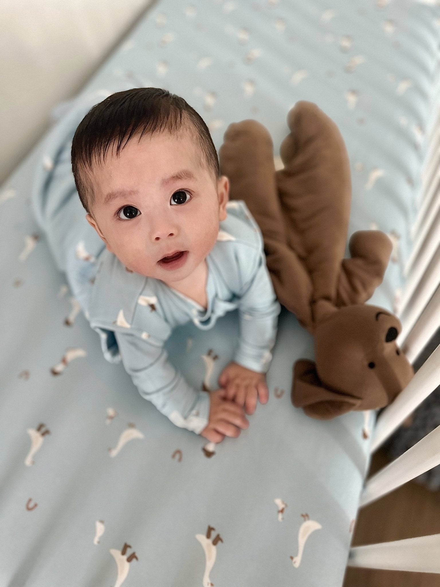 günamüna Convertible Footie Woof (Min. of 2, multiples of 2) - MAIGHAN DISTRIBUTION CANADA