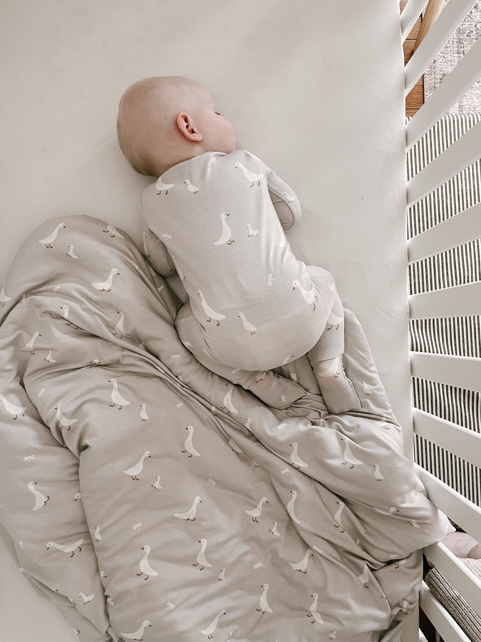 günamüna Cozy Cloud Comforter Baby Blanket Goose 1 TOG (Min. of 2, multiples of 2) - MAIGHAN DISTRIBUTION CANADA