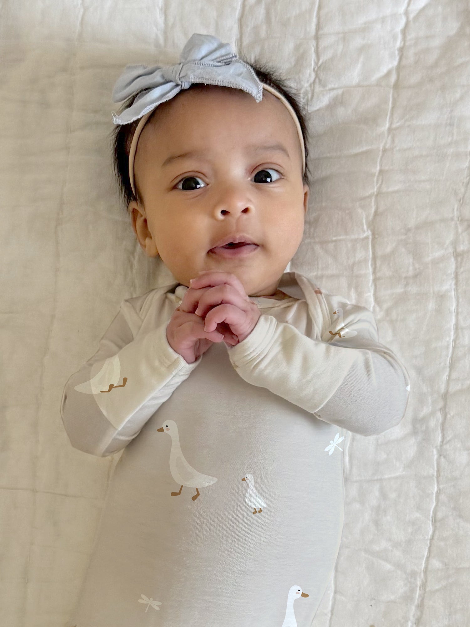 günamüna Gowns Magnolia (Min. of 2, multiples of 2) - MAIGHAN DISTRIBUTION CANADA