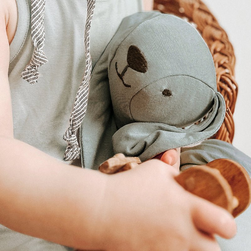 günamüna Lovey Friend Sage (Min. of 2, multiples of 2) - MAIGHAN DISTRIBUTION CANADA