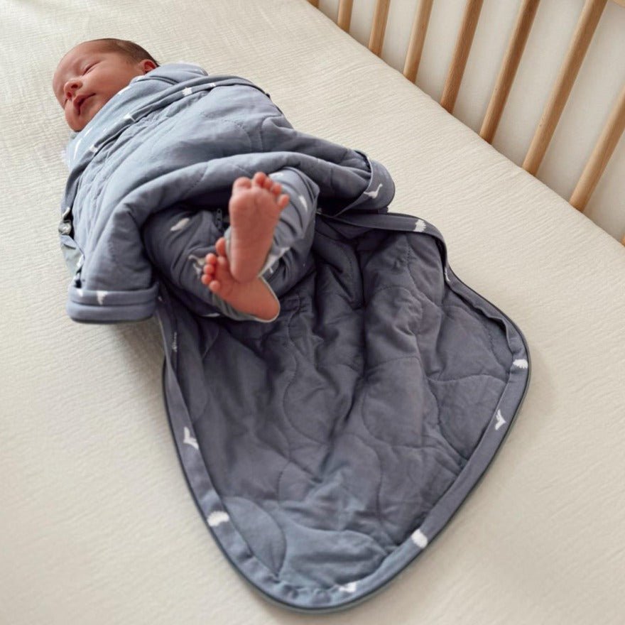 günamüna Swaddle Sleep Sack Duvet Bamboo Dino 1 TOG (Min. of 2, multiples of 2) - MAIGHAN DISTRIBUTION CANADA