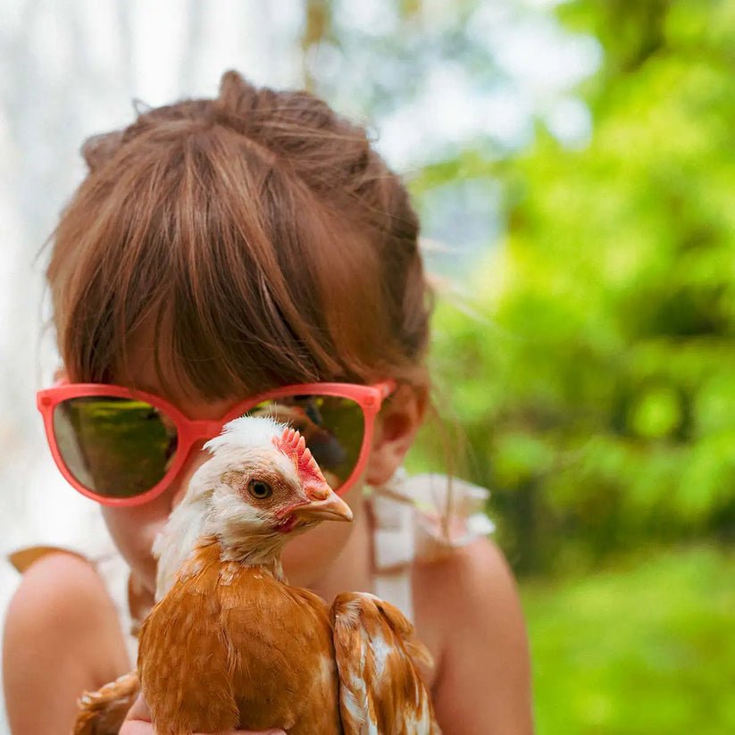 Ki ET LA Buzz Sunglasses - Neon Pink (Min. of 2 PK, multiples of 2 PK) - MAIGHAN DISTRIBUTION CANADA