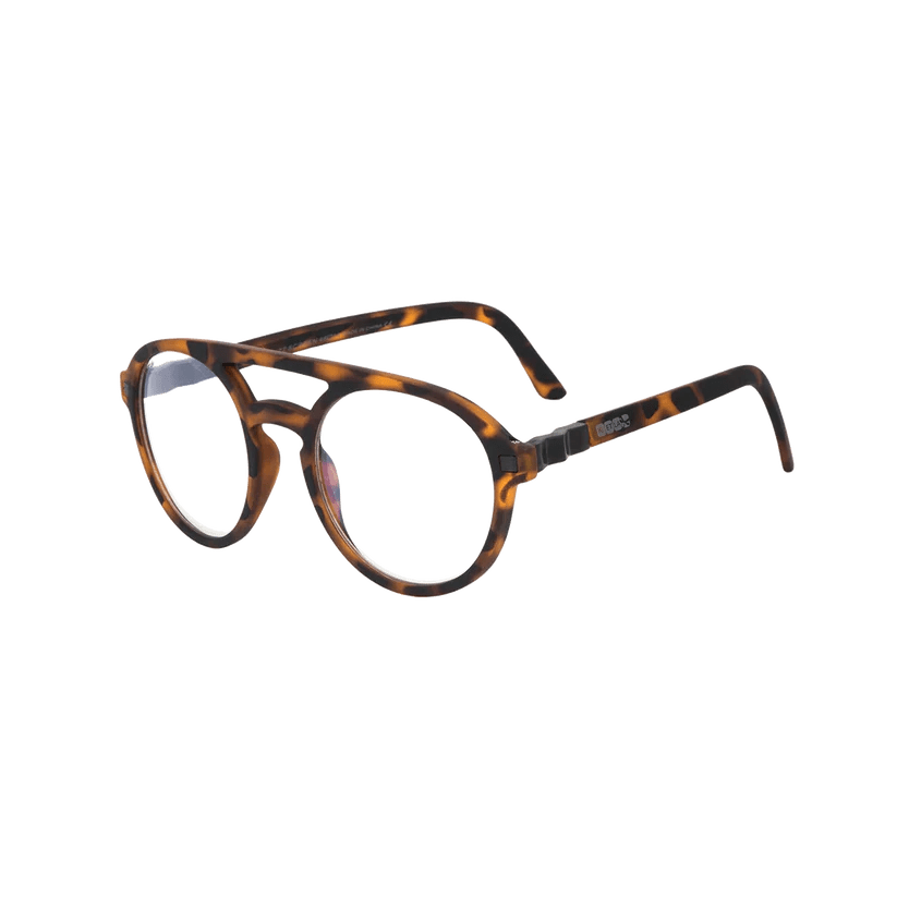 Ki ET Screen Pizz Ekail (Min. of 2 PK, multiples of 2 PK) - MAIGHAN DISTRIBUTION CANADA