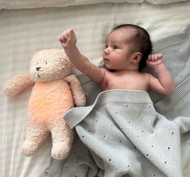 Moonie Organic Humming Bear With Lamp - Sand (Min. of 2 PK, multiples of 2 PK) - MAIGHAN DISTRIBUTION CANADA