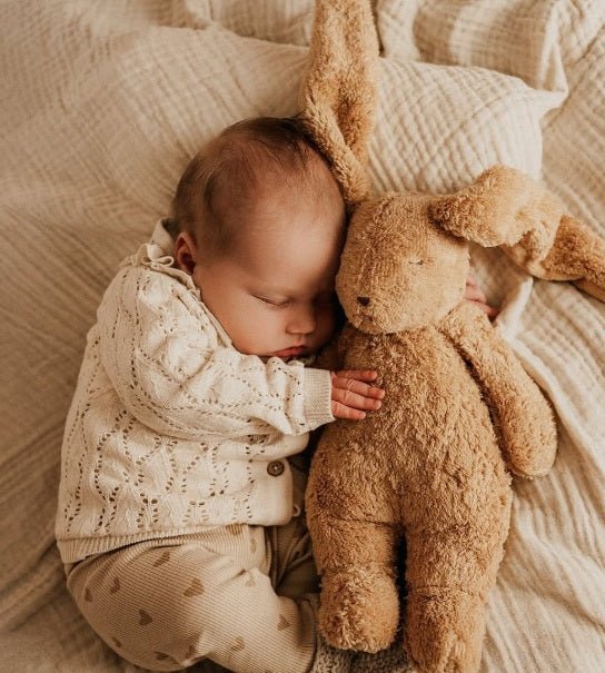 Moonie Organic Humming Bunny With Lamp - Cappuccino (Min. of 2 PK, multiples of 2 PK) - MAIGHAN DISTRIBUTION CANADA