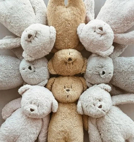 Moonie Sensory Little Teddy - Cappuccino (Min. of 2 PK, multiples of 2 PK) - MAIGHAN DISTRIBUTION CANADA