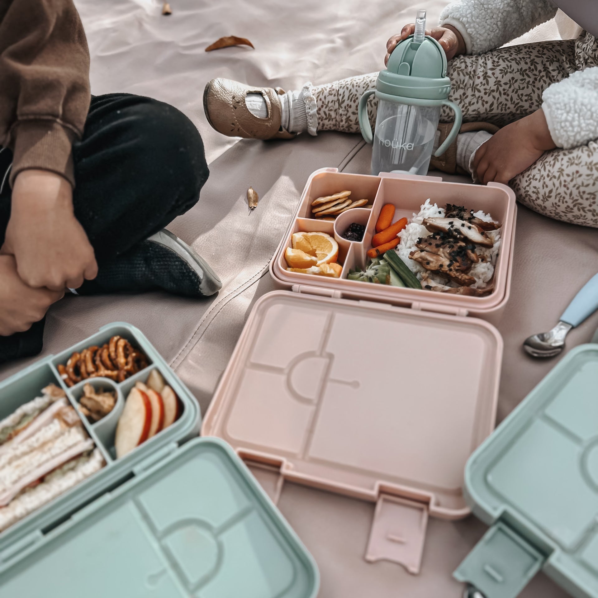 noüka Bento Chill Lunch Box - Wave (Min. of 2 PK, Multiples of 2 PK) - MAIGHAN DISTRIBUTION CANADA