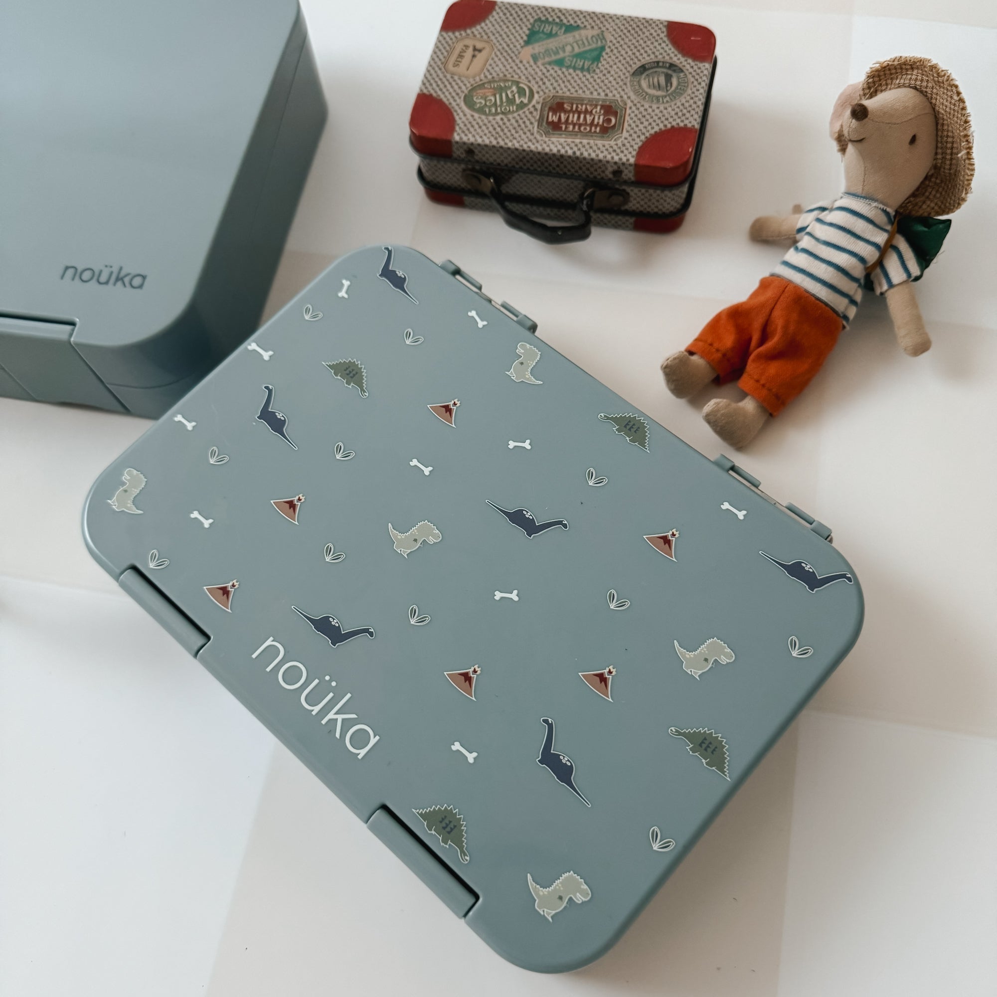 noüka Design Bento Lunch Box - Dino Ville (Min. of 2 PK, Multiples of 2 PK) - MAIGHAN DISTRIBUTION CANADA