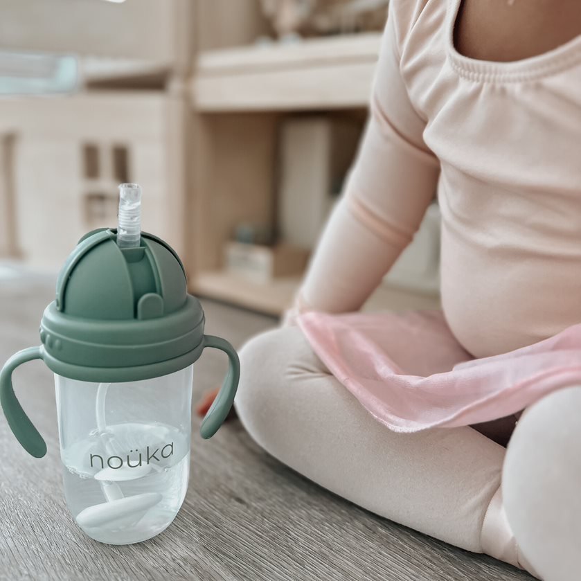 noüka Weighted Straw Replacement and Cleaning Brush for Weighted Straw Cup 9 oz (Sold in Case of 2, Qty of 1=2 products) - MAIGHAN DISTRIBUTION CANADA