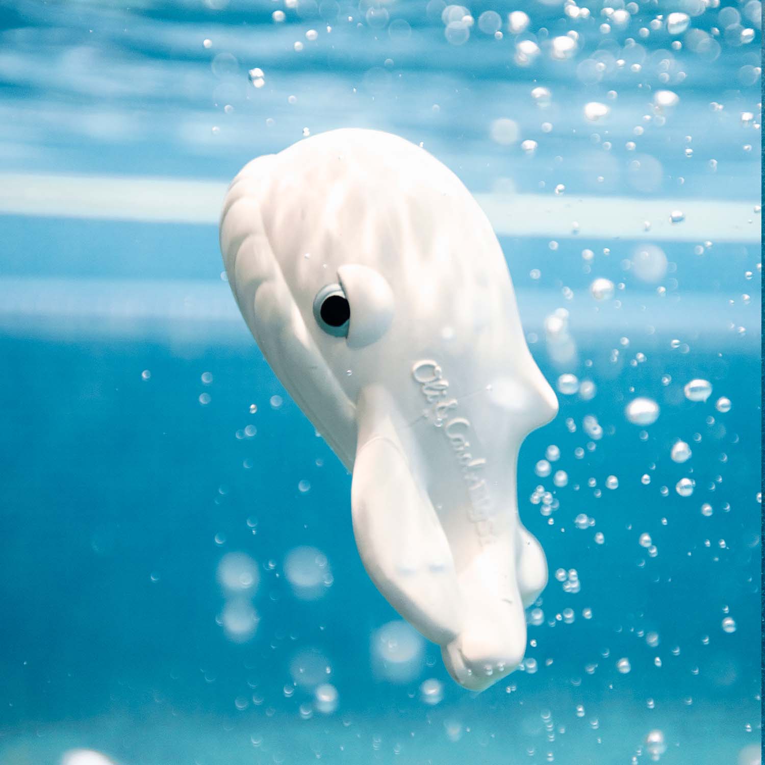 Oli & Carol Walter the Whale Bath Toy By BigStuffed (Min. of 2 PK, multiples of 2 PK) - MAIGHAN DISTRIBUTION CANADA