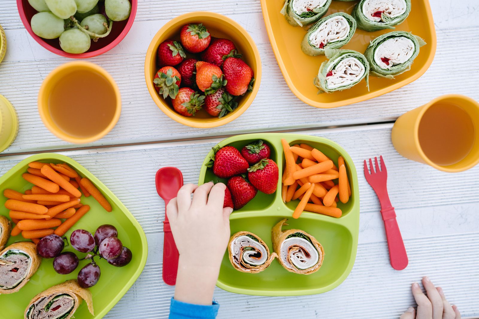 Re - Play 3 PK Packaged Divided Plates Under the Sea - (Aqua, Lime Green and Sky Blue) (Min. of 2 PK, Multiples of 2 PK) - MAIGHAN DISTRIBUTION CANADA