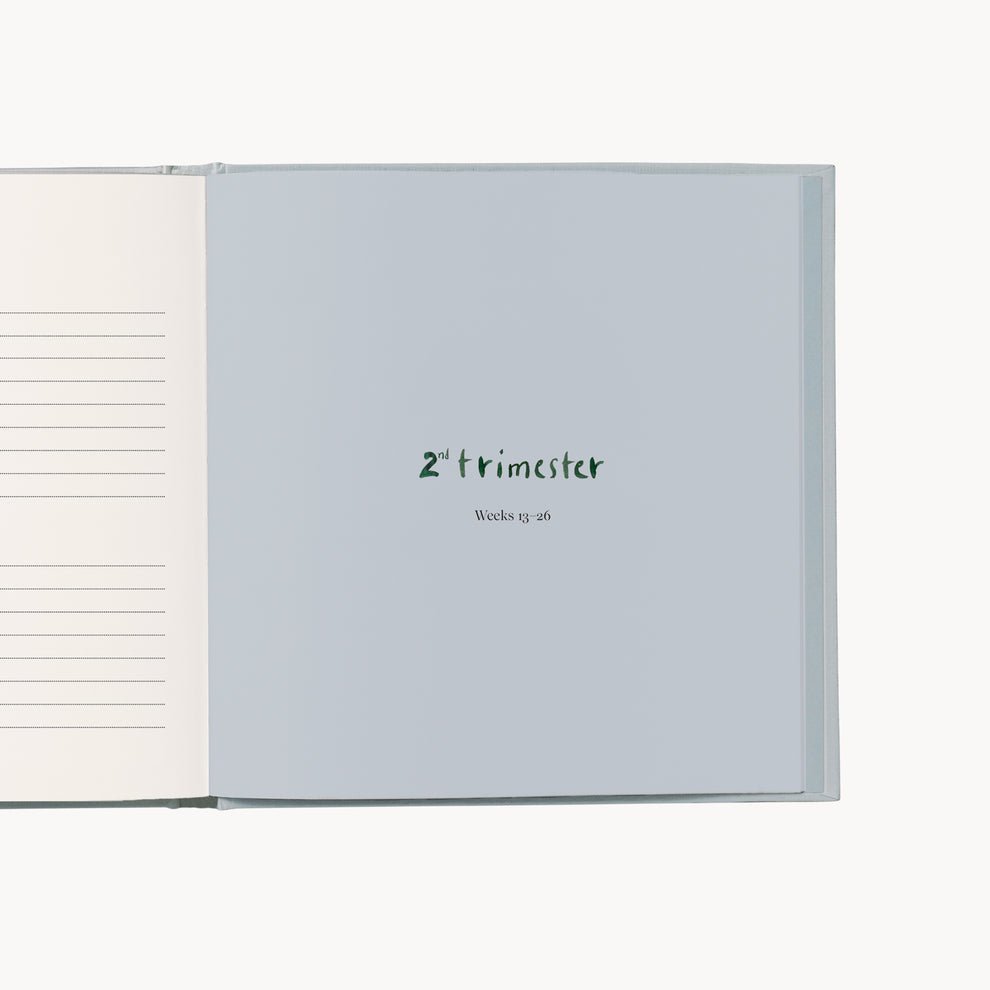 Specialday - My Pregnancy - memories &amp; treasures (Min. of 2 PK , multiples of 2 PK) - MAIGHAN DISTRIBUTION CANADA