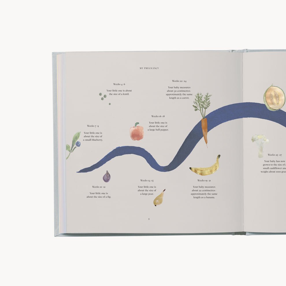 Specialday - My Pregnancy - memories & treasures (Min. of 2 PK , multiples of 2 PK) - MAIGHAN DISTRIBUTION CANADA