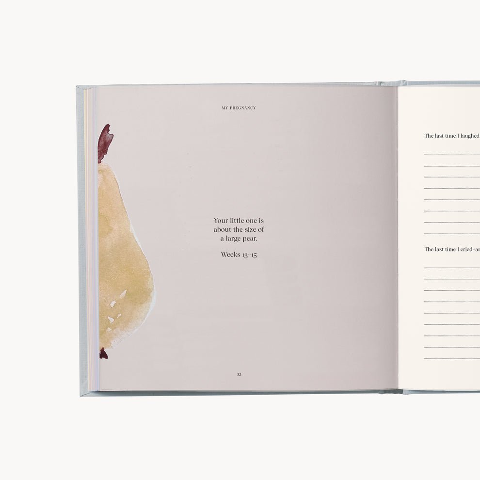 Specialday - My Pregnancy - memories & treasures (Min. of 2 PK , multiples of 2 PK) - MAIGHAN DISTRIBUTION CANADA