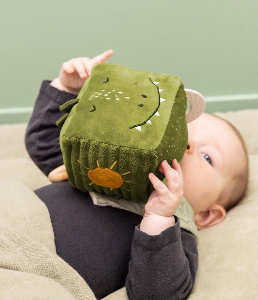 Trixie Activity cube - Mr. Dino (Min. of 2 PK, multiples of 2 PK) - MAIGHAN DISTRIBUTION CANADA