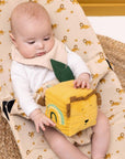 Trixie Activity cube - Mr. Lion (Min. of 2 PK, multiples of 2 PK) - MAIGHAN DISTRIBUTION CANADA