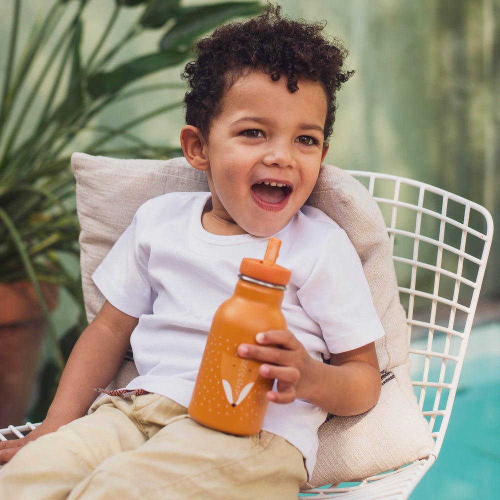 Trixie Bottle 350ml - Mr. Fox (Min. of 2 PK, multiples of 2 PK) - MAIGHAN DISTRIBUTION CANADA