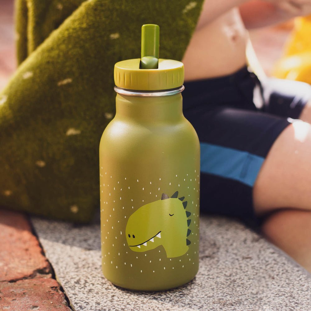 Trixie Insulated drinking bottle 350ml - Mr. Dino (Min. of 2 PK, multiples of 2 PK) - MAIGHAN DISTRIBUTION CANADA