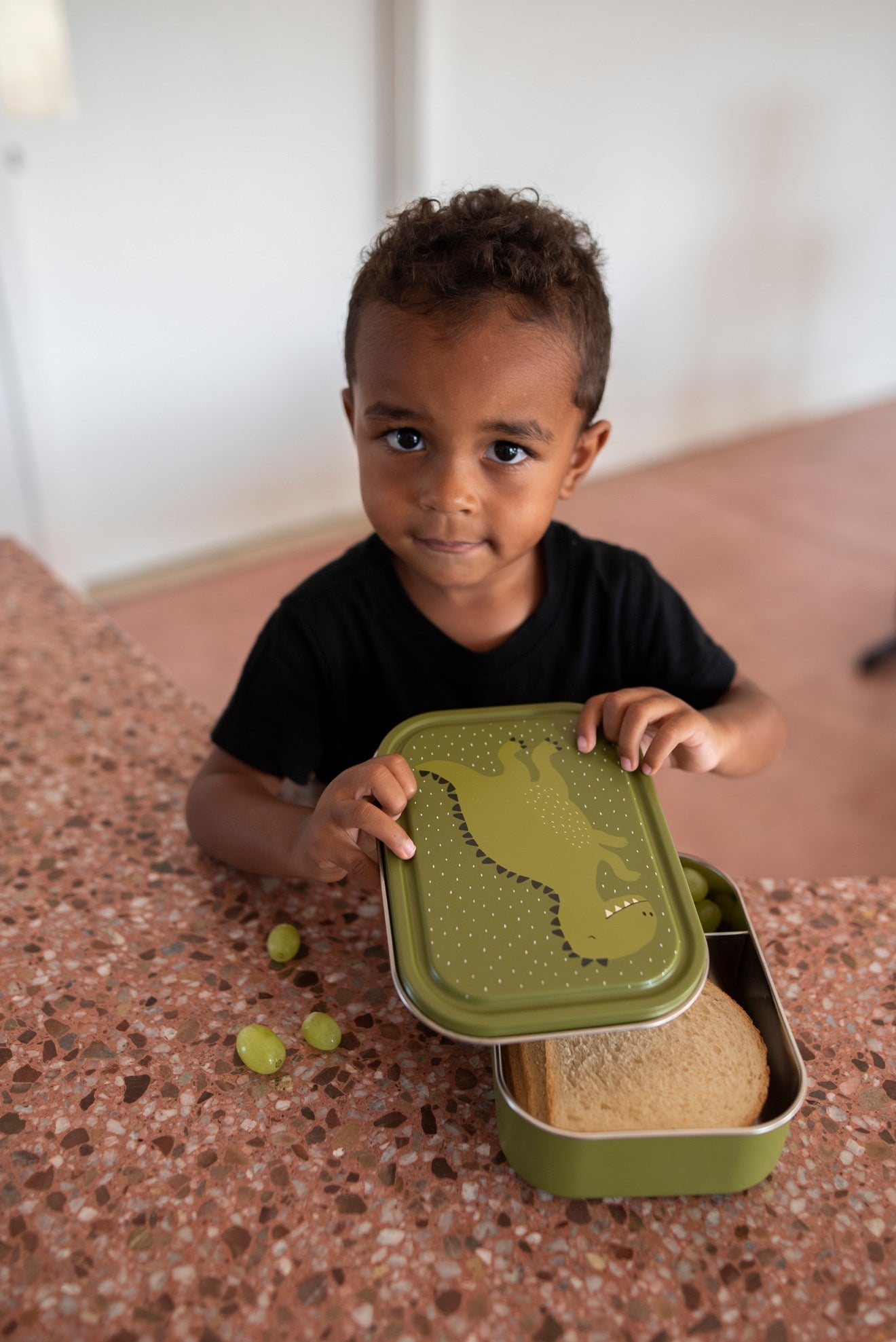 Trixie Lunch box large - Mr. Dino (Min. of 2 PK, multiples of 2 PK) - MAIGHAN DISTRIBUTION CANADA