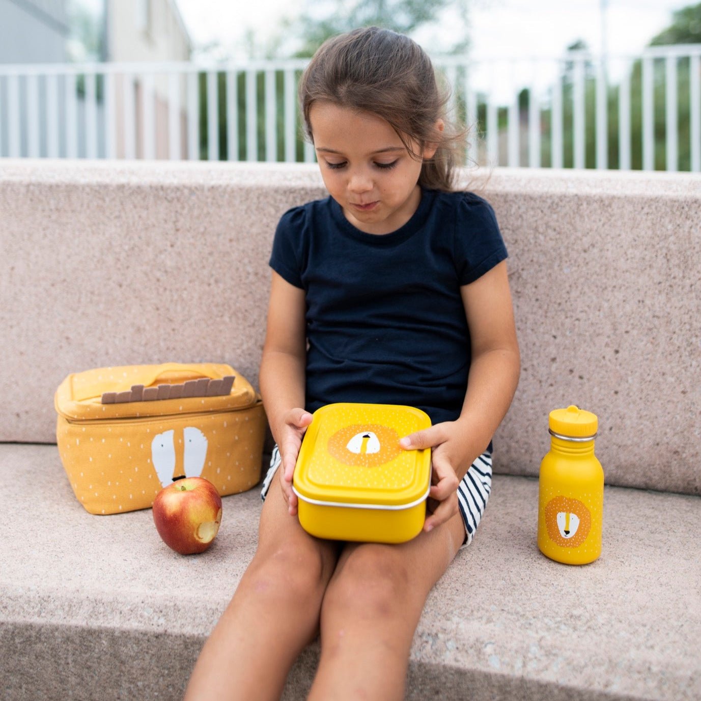 Trixie Lunch box small - Mr. Lion (Min. of 2 PK, multiples of 2 PK) - MAIGHAN DISTRIBUTION CANADA