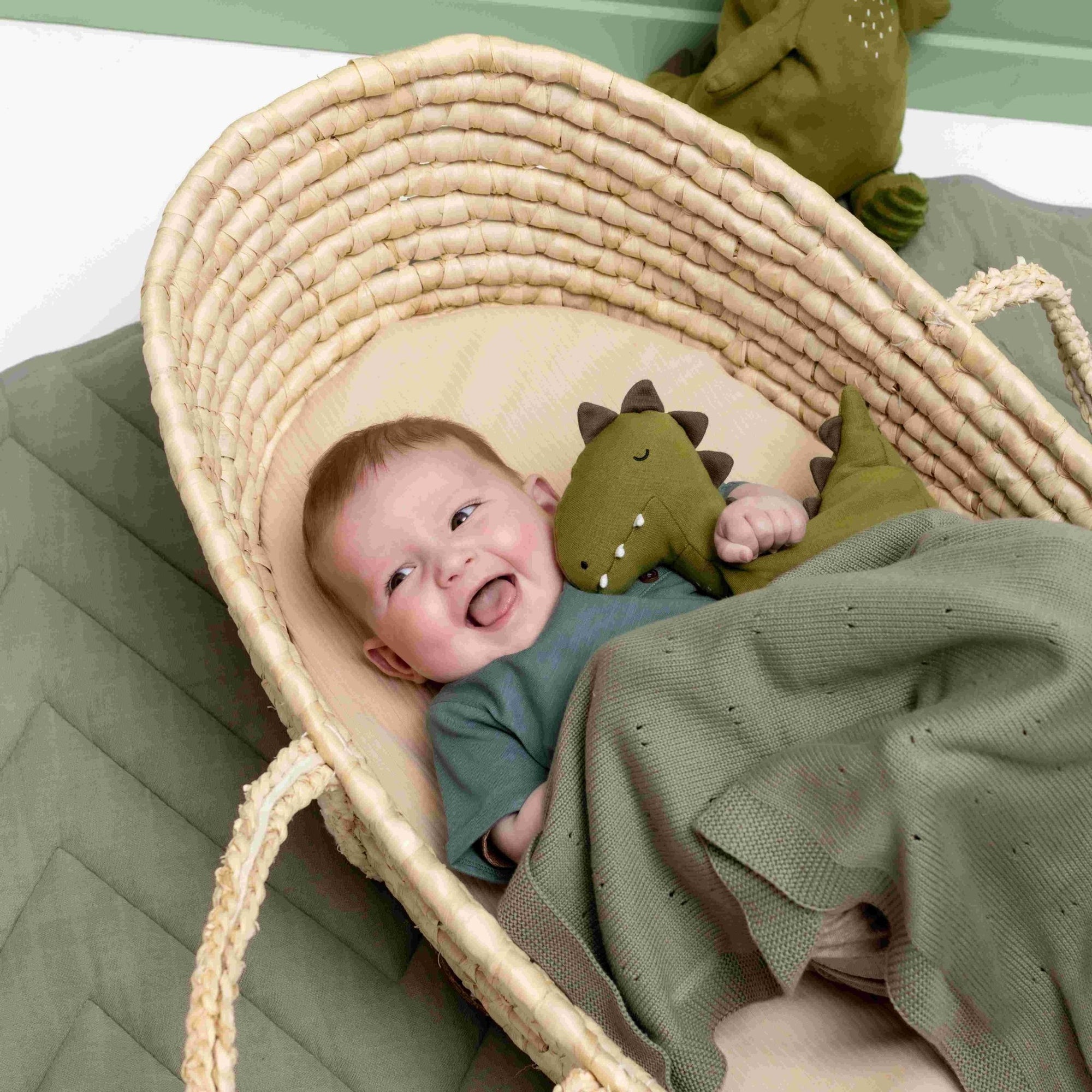 Trixie Plush toy large - Mr. Dino (Min. of 2 PK, multiples of 2 PK) - MAIGHAN DISTRIBUTION CANADA