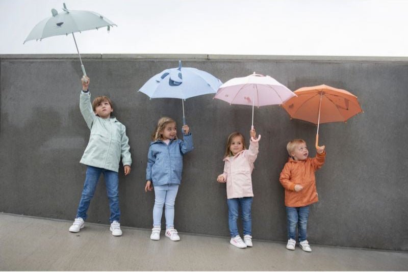 Trixie Umbrella - Mr. Fox (Min. of 2 PK, multiples of 2 PK) - MAIGHAN DISTRIBUTION CANADA