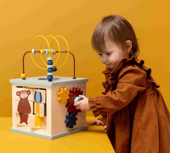 Trixie Wooden 5 - in - 1 activity cube (Min. of 2 PK, multiples of 2 PK) - MAIGHAN DISTRIBUTION CANADA