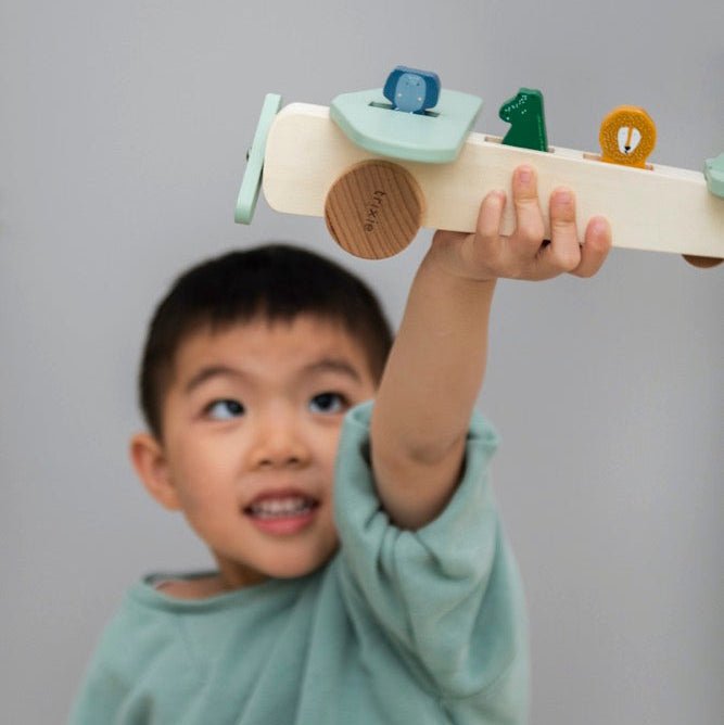 Trixie Wooden animal airplane (Min. of 2 PK, multiples of 2 PK) - MAIGHAN DISTRIBUTION CANADA