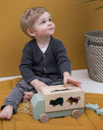 Trixie Wooden animal truck (Min. of 3 PK, multiples of 3 PK)
