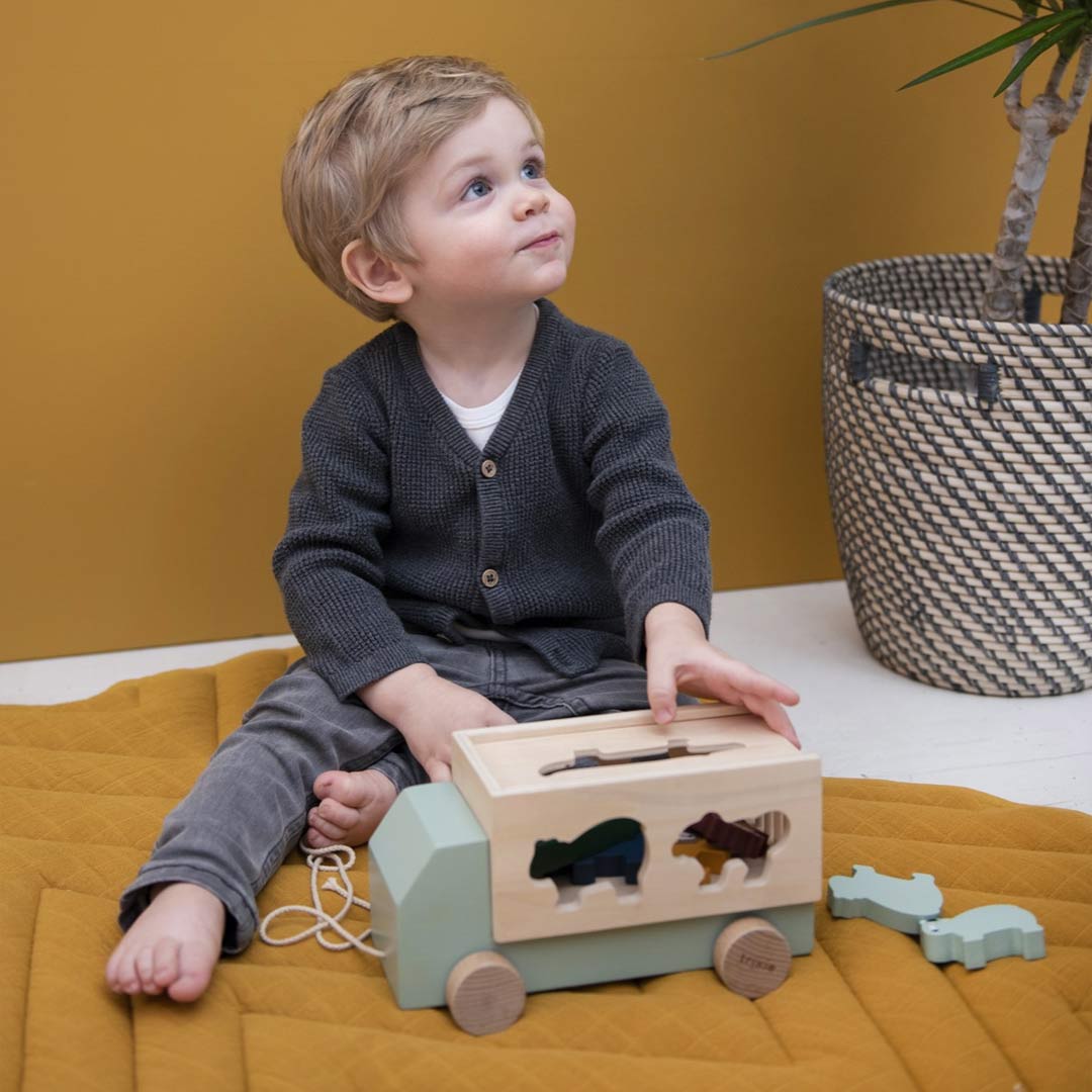 Trixie Wooden animal truck (Min. of 3 PK, multiples of 3 PK) - MAIGHAN DISTRIBUTION CANADA