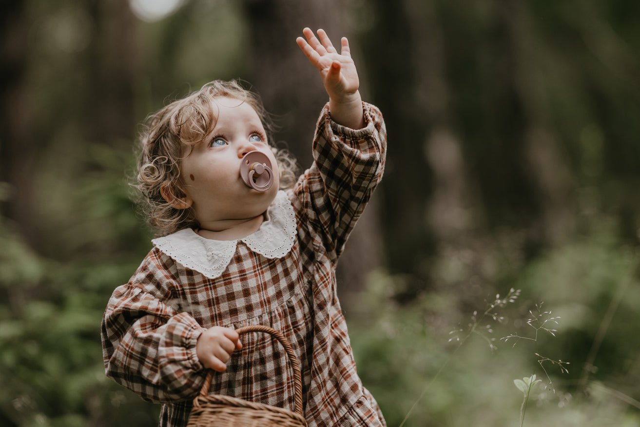 BIBS Pacifier Original COLOUR Latex 2 PK Pink Plum / Elderberry (Min. of 2 PK, multiples of 2 PK) - MAIGHAN DISTRIBUTION CANADA
