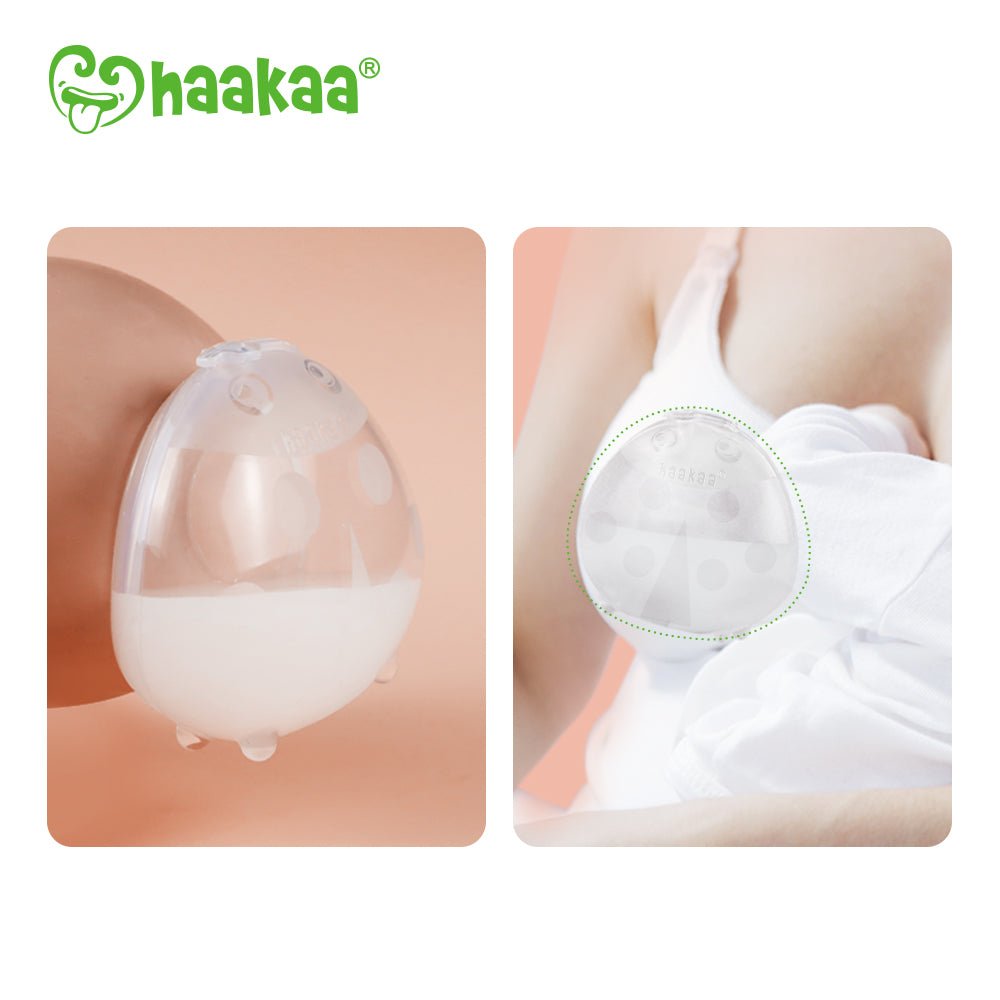 Haakaa Silicone Milk Collector 1 pk 75 ml (Min. of 2 , multiples of 2) - MAIGHAN DISTRIBUTION CANADA