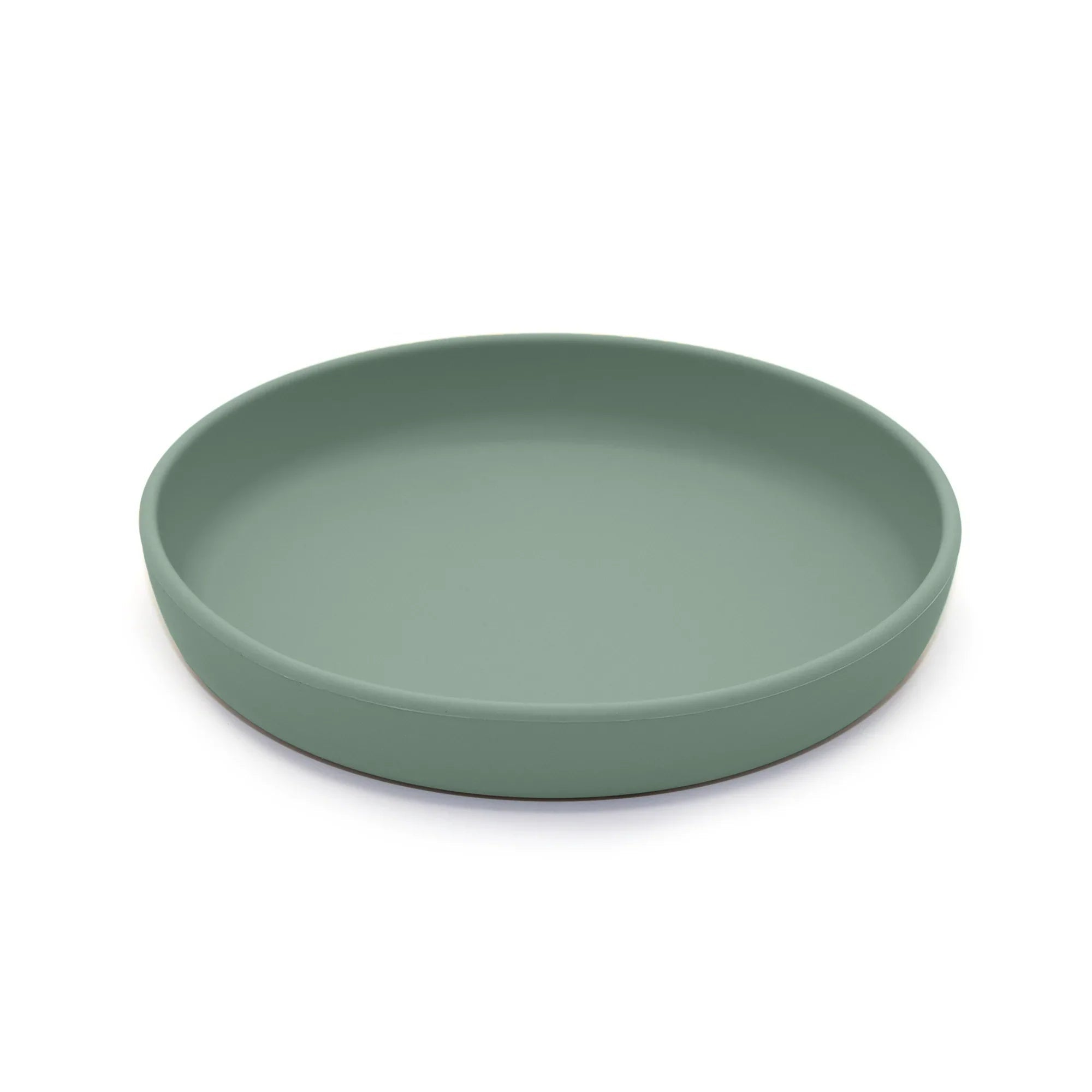 noüka Flat Plate - Fern (Sold in Case of 2, Qty of 1=2 products) - MAIGHAN DISTRIBUTION CANADA