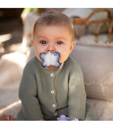 Oli & Carol Blues the Butterfly (Min. of 2 PK, multiples of 2 PK) - MAIGHAN DISTRIBUTION CANADA