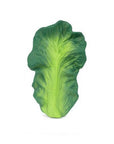 Oli & Carol Kendall the Kale (Min. of 2 PK, multiples of 2 PK) - MAIGHAN DISTRIBUTION CANADA
