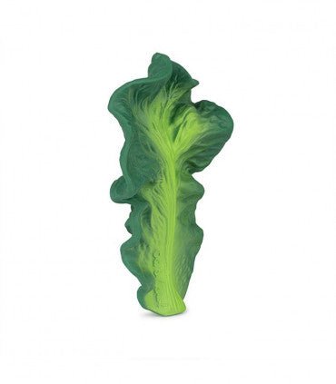 Oli & Carol Kendall the Kale (Min. of 2 PK, multiples of 2 PK) - MAIGHAN DISTRIBUTION CANADA