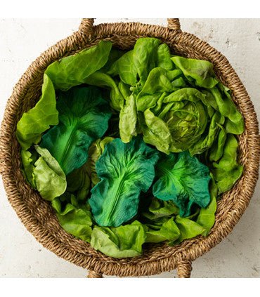 Oli & Carol Kendall the Kale (Min. of 2 PK, multiples of 2 PK) - MAIGHAN DISTRIBUTION CANADA