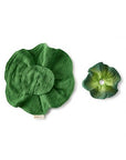 Oli & Carol Mini Doudou Teether - The Kale (Min. of 2 PK, multiples of 2 PK) - MAIGHAN DISTRIBUTION CANADA