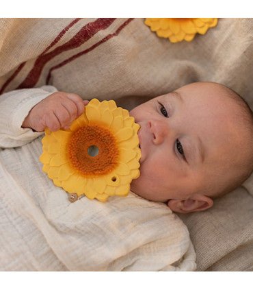 Oli & Carol Sun the Sunflower (Min. of 2 PK, multiples of 2 PK) - MAIGHAN DISTRIBUTION CANADA