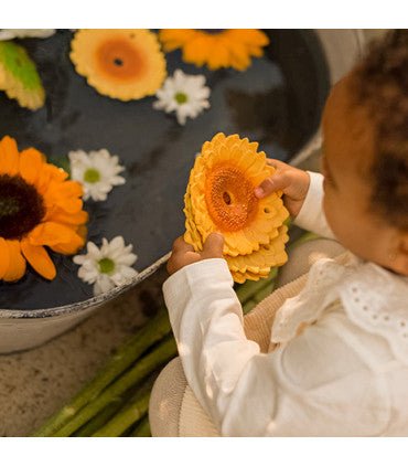 Oli & Carol Sun the Sunflower (Min. of 2 PK, multiples of 2 PK) - MAIGHAN DISTRIBUTION CANADA