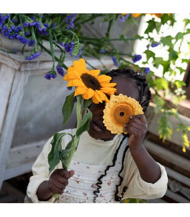 Oli &amp; Carol Sun the Sunflower (Min. of 2 PK, multiples of 2 PK) - MAIGHAN DISTRIBUTION CANADA