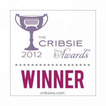 Snap Reusable Absorbent Swimsuit Diaper Dinosaurs (Min. of 2, multiples of 2) - MAIGHAN DISTRIBUTION CANADA