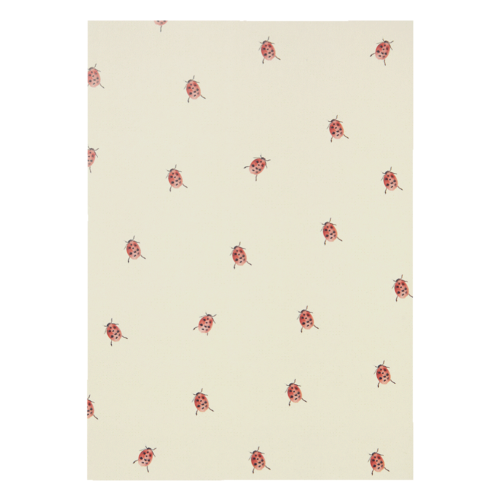 Specialday - Box with 30 Greeting Cards - MAIGHAN DISTRIBUTION CANADA