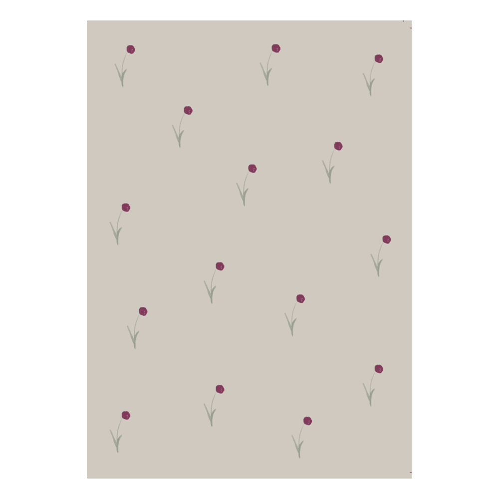 Specialday - Box with 30 Greeting Cards - MAIGHAN DISTRIBUTION CANADA