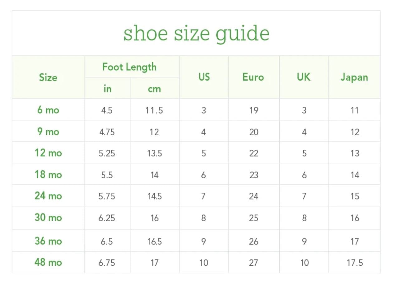 Water Shoes in Aqua (Min. of 1) - MAIGHAN DISTRIBUTION CANADA